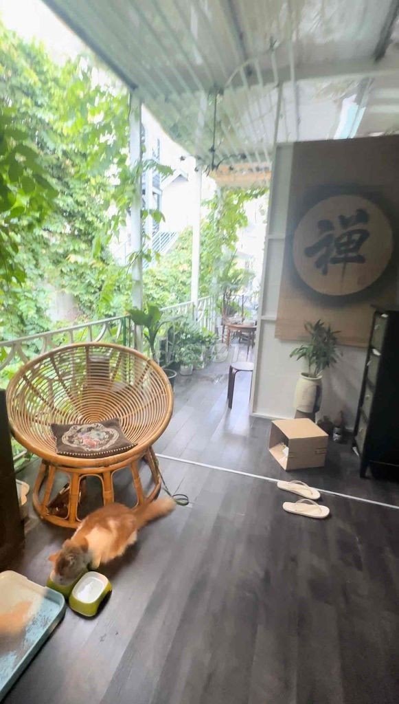 Cho thuê Đường Xe Hơi Vào Phạm Ngọc Thạch, phường 6, Quận 3